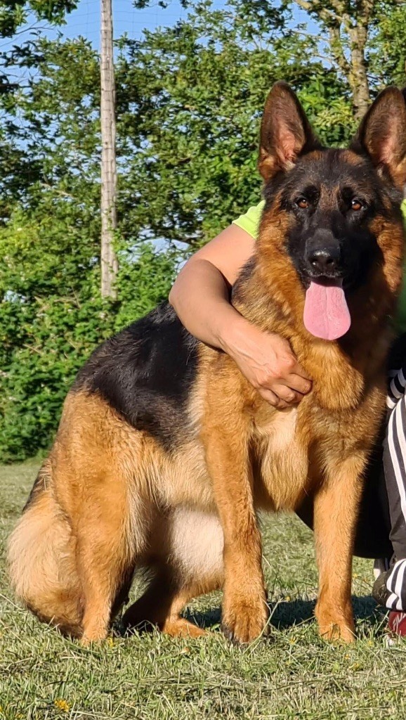 du Fort de Cadres Olga